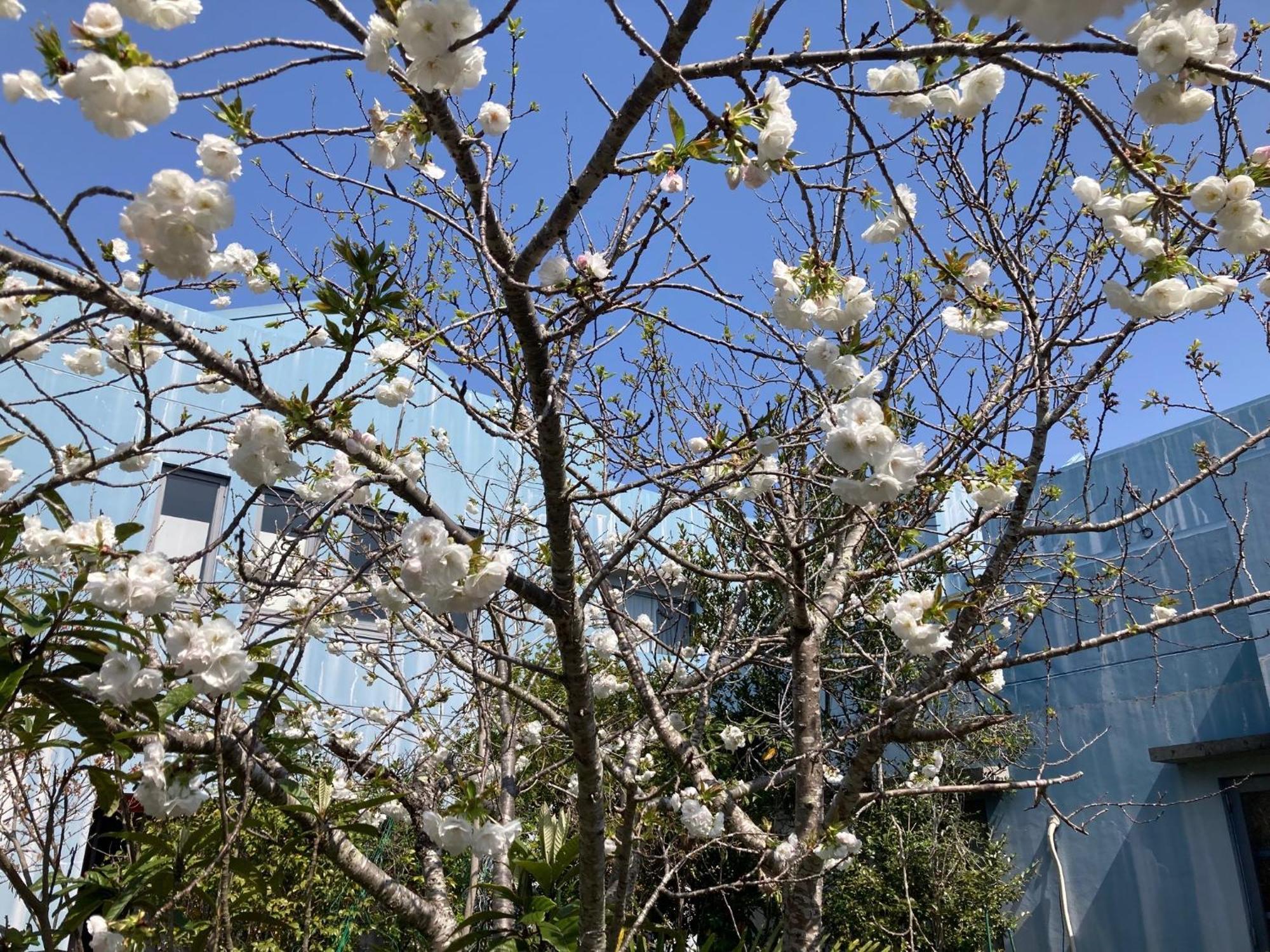 Narita Airport Samurai Hostel Kujukuri Luaran gambar
